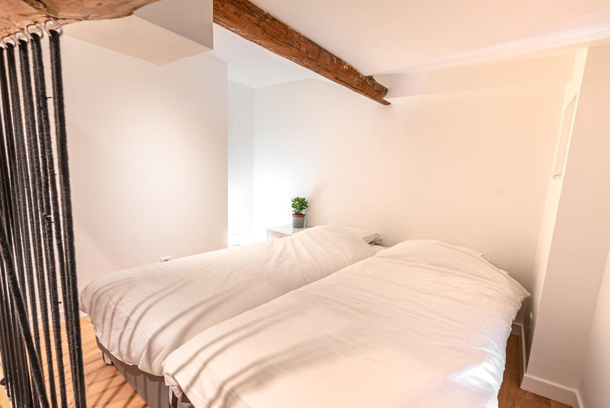 Loft St Maurice Les Arcs La Maison Des Tetes *